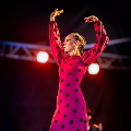 flamenco (65)